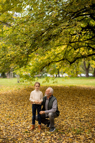 Yakışıklı büyükbaba sonbahar günü torunuyla parkta vakit geçiriyor. - Fotoğraf, Görsel