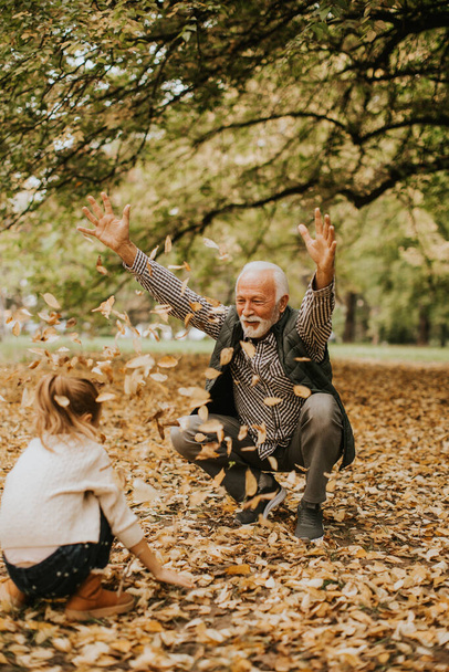 Hermoso abuelo pasar tiempo con su nieta en el parque en el día de otoño - Foto, imagen