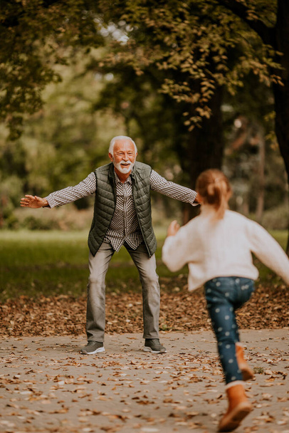 Handsome grandfather spending time with his granddaughter in park on autumn day - Φωτογραφία, εικόνα