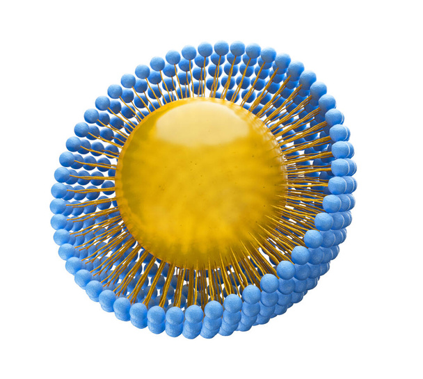 Medische 3D illustratie van een monolayer micelle structuur met een in vet oplosbaar molecuul in het deeltje. Geïsoleerd op witte achtergrond - Foto, afbeelding