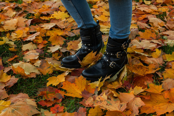 Gambe femminili in stivali di pelle nera in piedi su un tappeto di foglie d'acero cadute gialle mentre si cammina in un parco autunnale. - Foto, immagini
