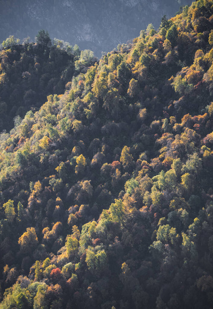 Mountain hills and rocks overgrown with autumn trees of warm shades, in the Caucasus in the early autumn morning - Foto, imagen