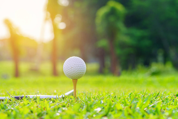Μπάλα γκολφ στο πράσινο γρασίδι έτοιμο να χτυπήσει στο γήπεδο του γκολφ. - Φωτογραφία, εικόνα