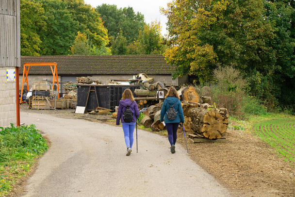 Захват матери и дочери, наслаждающихся спокойной и мирной прогулкой в сельской местности Ротерхэм, в конце осени. - Фото, изображение