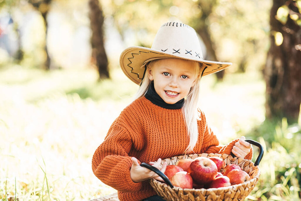 Child picking apples on farm in autumn. Little girl playing in tree orchard. Healthy nutrition. Cute little girl eating red delicious fruit. Harvest Concept. Apple picking. - Fotografie, Obrázek