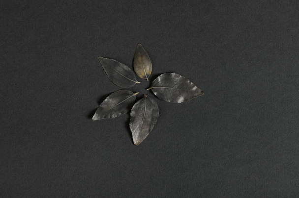Натюрморт с листьями черного цвета с ржавчиной, выложенной вокруг в виде цветка, на черном фоне. Плоский лежал. Копирование рекламного пространства - Фото, изображение
