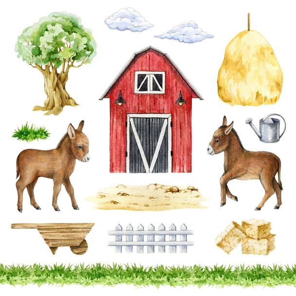 Donkey animal, farm elements hand drawn set. Watercolor illustration. Red barn, foal, fence, hay, grass, wheel barrow, tree elements. Farm and countryside element and equipment collection. - Photo, Image