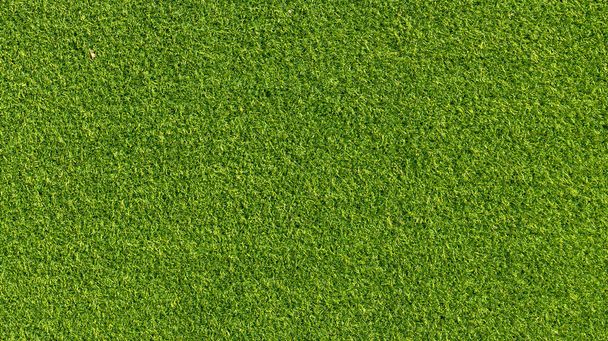 Artificial grass carpet background. Artificial grass. Green grass. natural background texture. fresh spring green grass. - Foto, immagini
