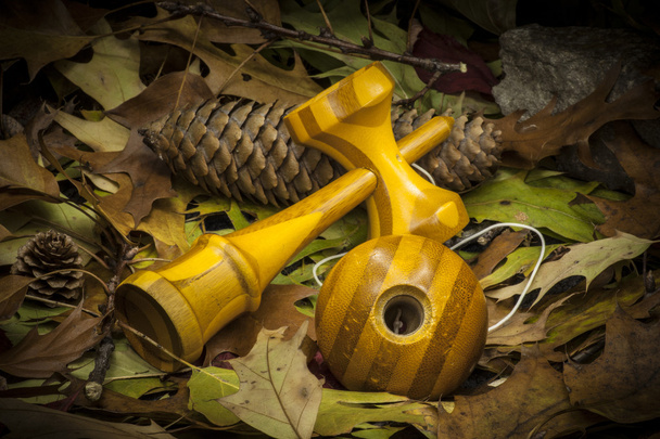 Kendama in an autumnal composition - Photo, Image