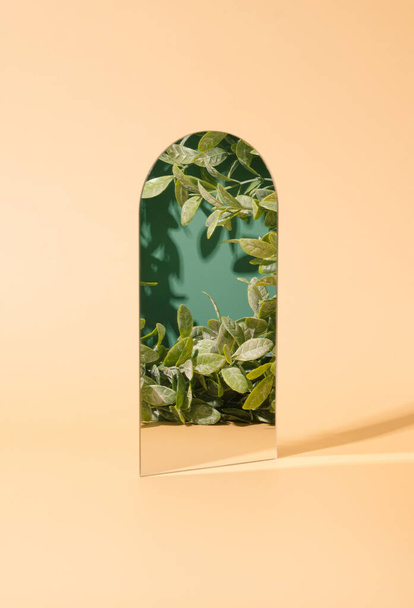 Zöld levelek tükröződnek a tükörben. Természetes és mesterséges világkontraszt. Szelet a természet keret háttér. - Fotó, kép