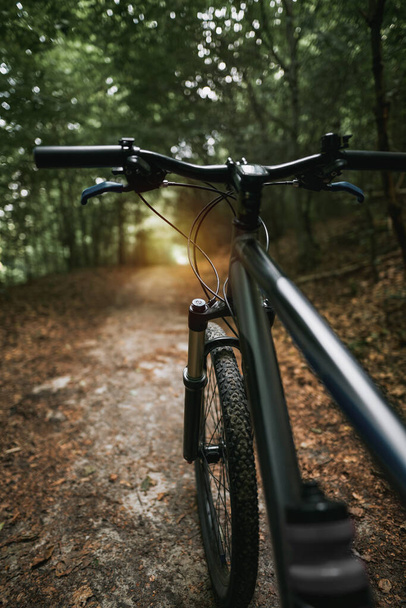 Mountain bike in the woods. Bicycle with forest background. Active outdoor lifestyle concept. - Zdjęcie, obraz