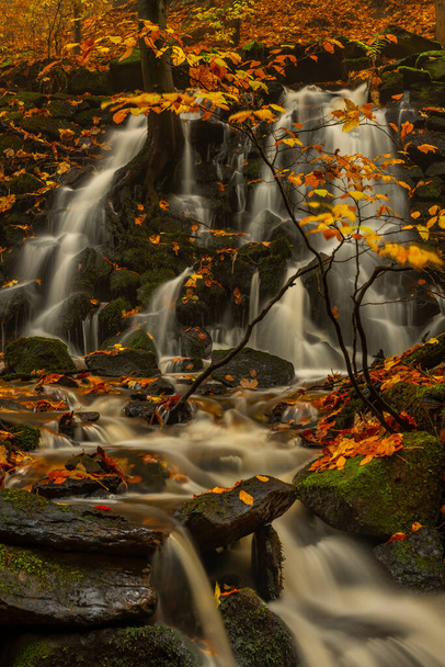 Rousinovsky potok s vodopády v Lužických horách v barvě podzimní deštivý den - Fotografie, Obrázek