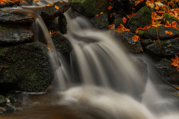 Русіновський струмок з водоспадами в Лузікських горах за кольором осіннього дощового дня - Фото, зображення