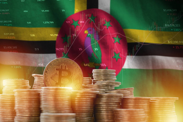 Dominikánská vlajka a velké množství zlatých bitcoinů a schéma obchodní platformy. Koncept kryptografické měny - Fotografie, Obrázek