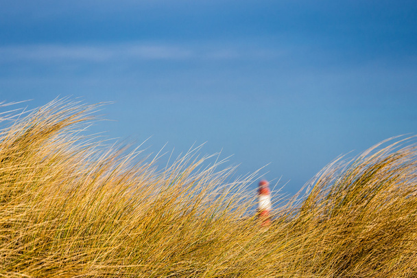 dune sur la mer Baltique - Photo, image
