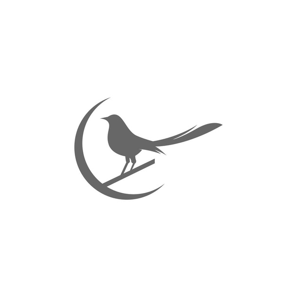 Gazza logo icona illustrazione disegno vettoriale - Vettoriali, immagini