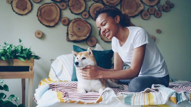 Happy African American teenage girl is caressing adorable pet dog stroking and kissing it expressing love and care on bed in bedroon in apartment. Youth and animals concept. - Foto, afbeelding