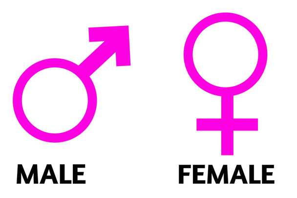 A  Male Female Sexual Orientation Icon Symbol Shape Sign Logo Website Gender Sexual Concept Web Page Button Design Pictograms user Interface Art Illustration Infographics - Foto, Imagem