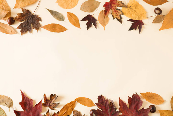 Hojas de otoño y castañas sobre fondo amarillo claro con espacio para copiar. Composición plana horizontal mínima, concepto de belleza otoñal - Foto, Imagen