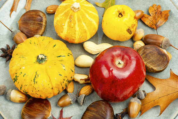 Kürbis mit Herbstfrüchten, Äpfeln und Nüssen aus nächster Nähe zerkleinern. Herbststilleben - Foto, Bild