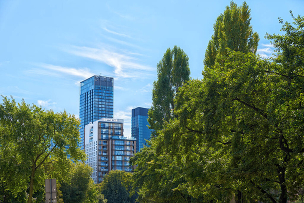 Centro administrativo en Varsovia, Edificios de oficinas de negocios en el centro del distrito central con árboles verdes, Rascacielos con fachada de vidrio contra el cielo azul - Foto, imagen
