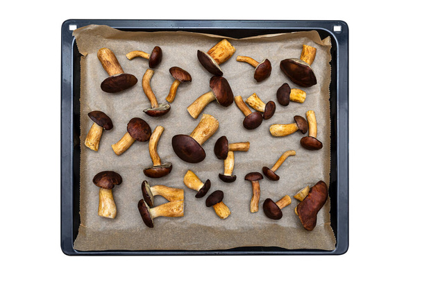 Een achtergrond gemaakt van vers geplukte eetbare paddenstoelen, liggend op een bakplaat, geïsoleerd op wit met knippad. - Foto, afbeelding