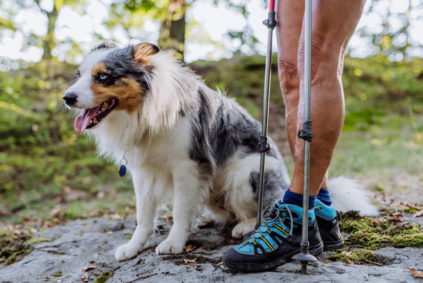 Dog sitting at the owner feet, resting during walk in a forest. - Photo, Image