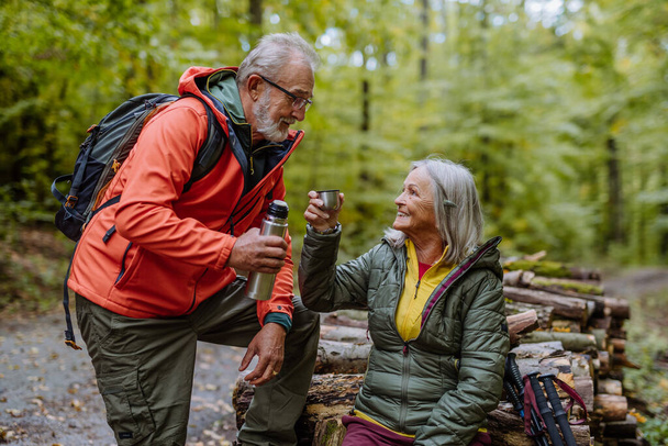 Senior couple having a break during hiking in autumn forest. - Photo, Image