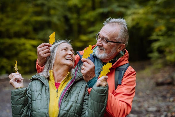 Portrait of happy senior couple with autumn leaves in a forest. - Foto, Imagem