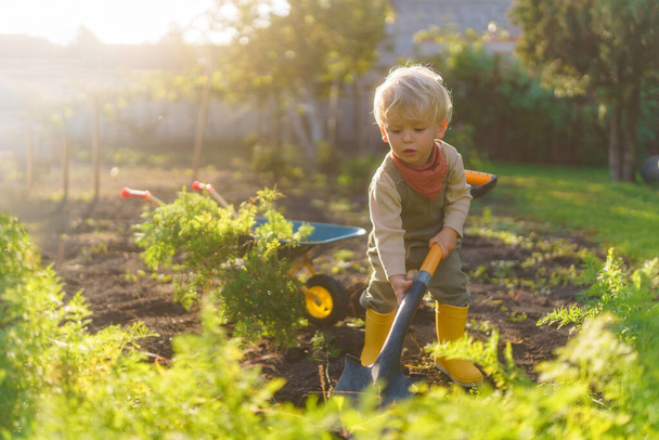 Little boy with a spade working in garden during autumn day. - Foto, imagen