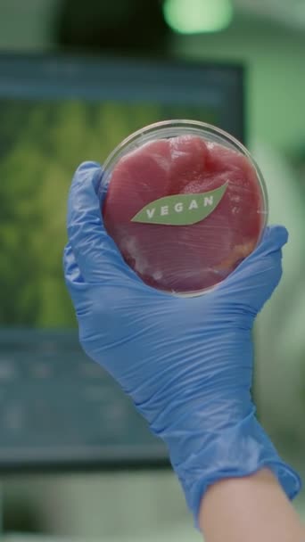 Vertical video: lähikuva kemisti tilalla käsissä vegaani naudanlihaa näyte tutkii muuntogeenisten kasvisruokaa. Biotekniikan laboratoriossa biotekniikan lääketiedettä analysoiva tiedemies - Materiaali, video