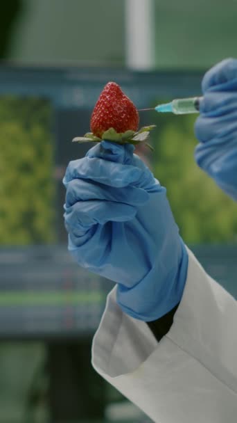 Vídeo vertical: Científico químico de primer plano inyectando fresa natural con pesticidas químicos usando jeringa médica para obtener experiencia en botánica. Bioquímico trabajando en laboratorio de biología probando alimentos saludables - Metraje, vídeo