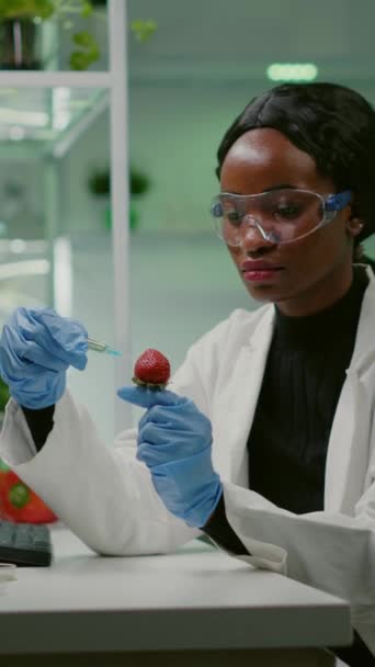 Vídeo vertical: Cientista químico injetando morango com líquido orgânico examinando teste de dna de frutas para experimento de botânica. Bioquímico trabalhando em testes de laboratório farmacêutico alimentos saudáveis para - Filmagem, Vídeo