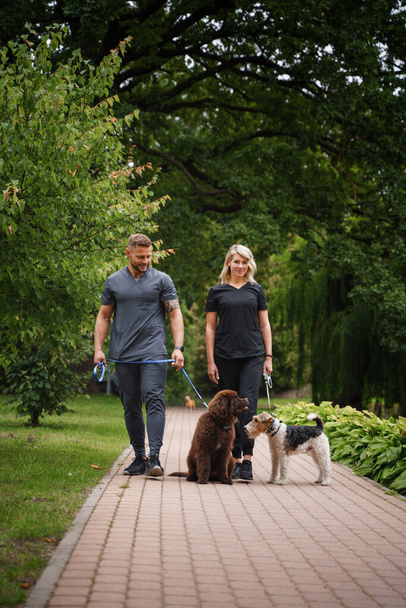 Shot of glad couple with two dogs walking in forest together on vacation. - Valokuva, kuva