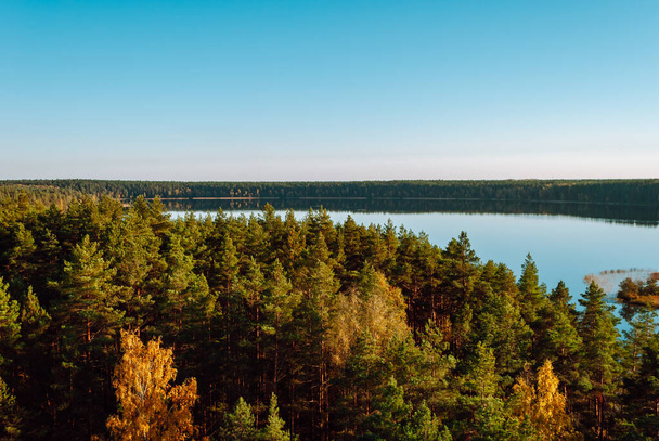 Veduta delle cime degli alberi di conifere e del lago Baltieji Lakajai nel parco regionale di Labanoras, Lituania - Foto, immagini