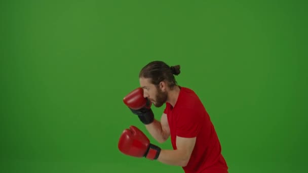 Fiatal motivált szakállas harcos csinál Boxing gyakorlatok, miközben visel sportruházat és harci kesztyű egy zöld képernyőn, Chroma Key.Man Kickbox és önvédelmi edzés, Sport Concept. - Felvétel, videó