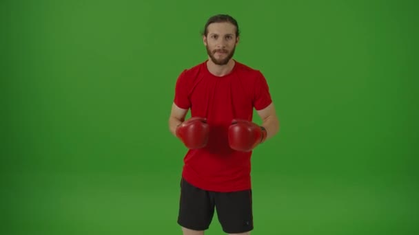 Πορτρέτο των νέων θυμωμένος επαγγελματίας γενειοφόρος μαχητής κάνοντας ασκήσεις πυγμαχίας στην καταπολέμηση γάντια κατ 'ευθείαν στην κάμερα σε μια πράσινη οθόνη, Chroma κλειδί.Man Kickboxing και Αθλητισμός Concept. - Πλάνα, βίντεο