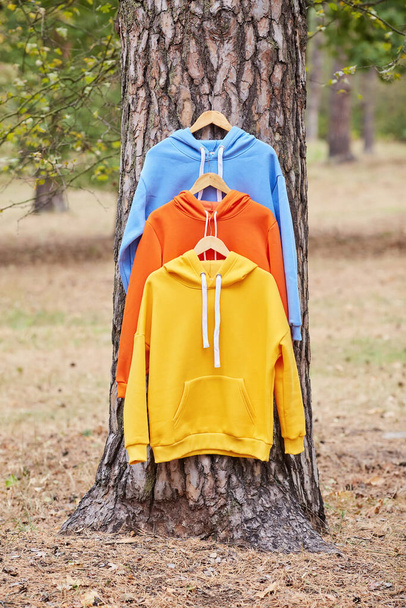 Több színes kapucnis kapucni lóg egy fán. Bemutatása a különböző színű ruhák - Fotó, kép