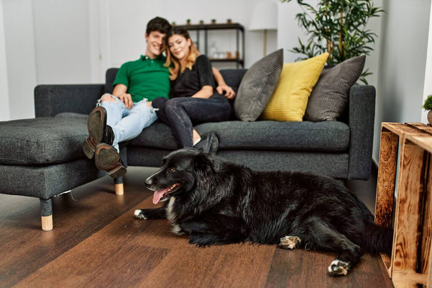 Młoda kaukaska para uśmiecha się szczęśliwa i przytula siedząc na kanapie z psem w domu. - Zdjęcie, obraz