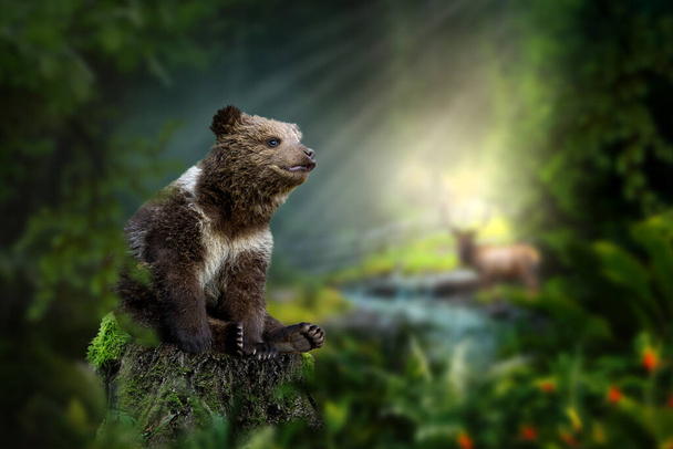 Bear cub sits on a stump in the middle of the forest against the background of a river and a deer and sun rays. Surreal concept art - Photo, Image