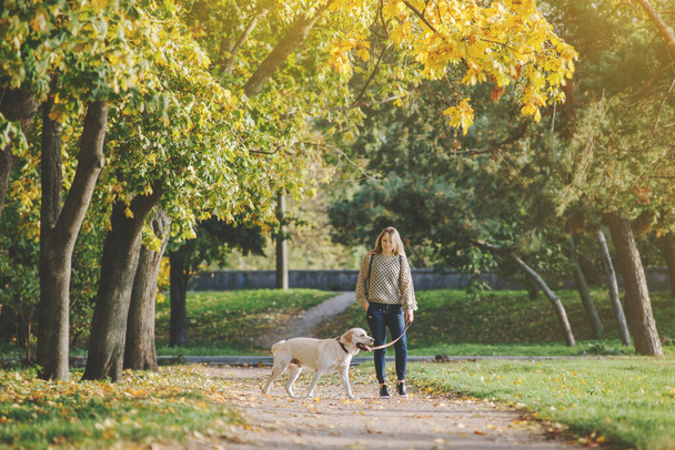 Fiatal szőke sétál a parkban egy labrador kutyával ősszel.. - Fotó, kép