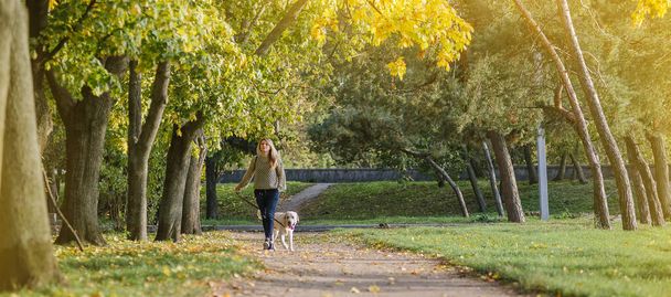 Nuori blondi kävelee puistossa labradorin koiran kanssa syksyllä. - Valokuva, kuva