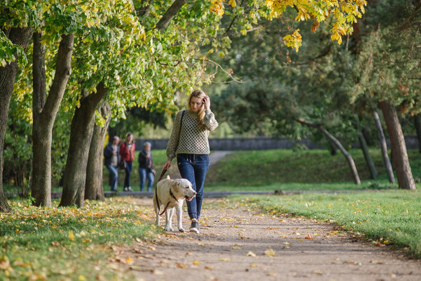 Νεαρή ξανθιά περπατά στο πάρκο με ένα λαμπραντόρ σκυλί το φθινόπωρο. - Φωτογραφία, εικόνα