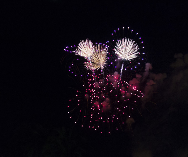 Colourful fireworks displa - Photo, Image