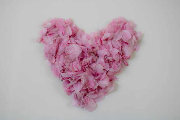Heart made out of pink flower leafs. Photo special made for a marriage, valentines day, or the one you love. - Fotoğraf, Görsel