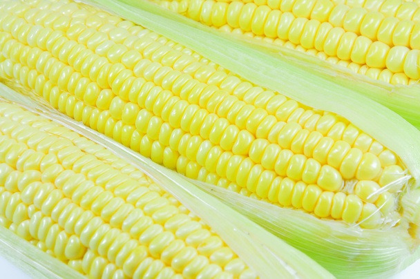 кукуруза - Фото, изображение