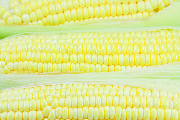 maïs  - Foto, afbeelding
