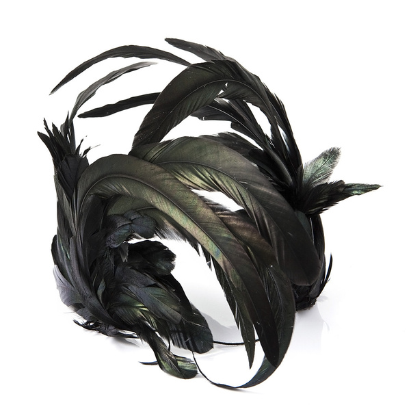 Stirnband mit schwarzen Federn auf weißem Grund  - Foto, Bild