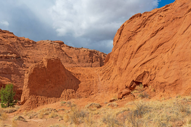 Twisted and Eroded Cliffs in de woestijn in het Kodachrome Basin State Park in Utah - Foto, afbeelding