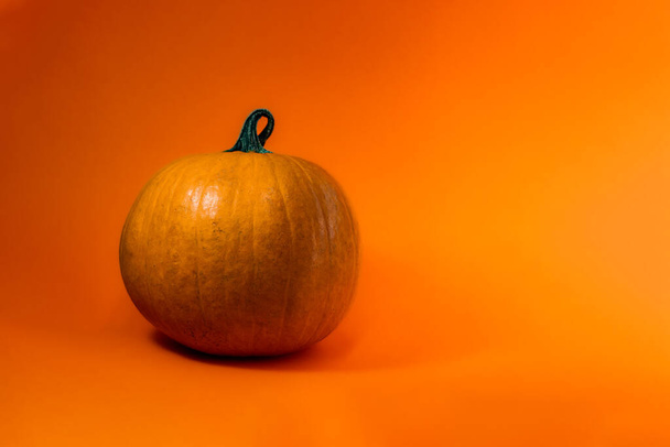 Pumpkin with orange background - Photo, Image